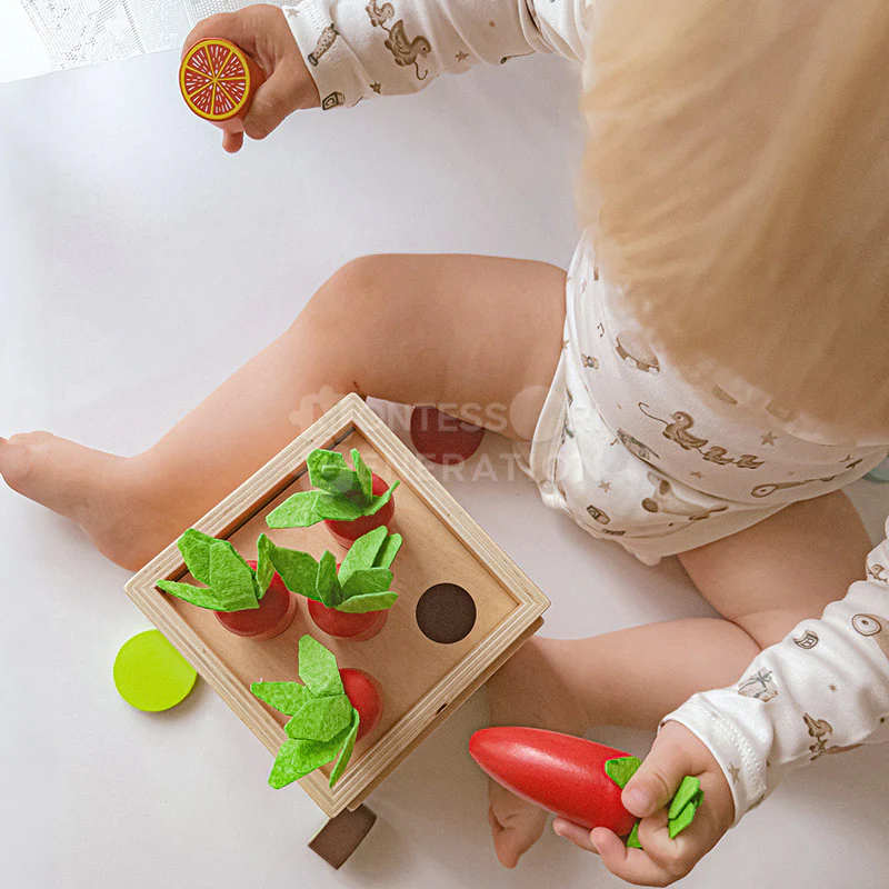 Montessori 6-in-1 Sorting Tool - Image 2