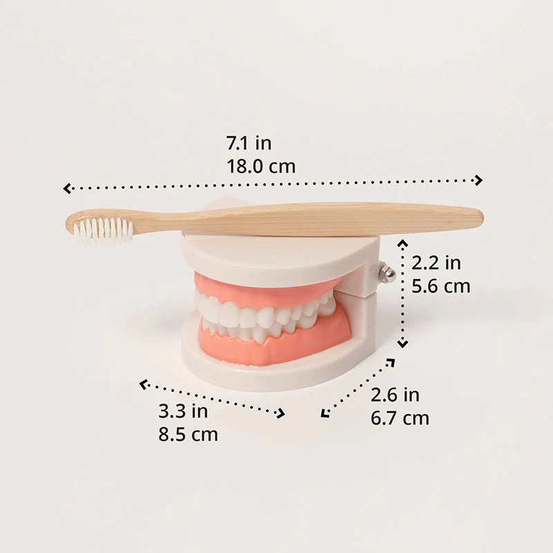Montessori Brushing Teeth - Image 12
