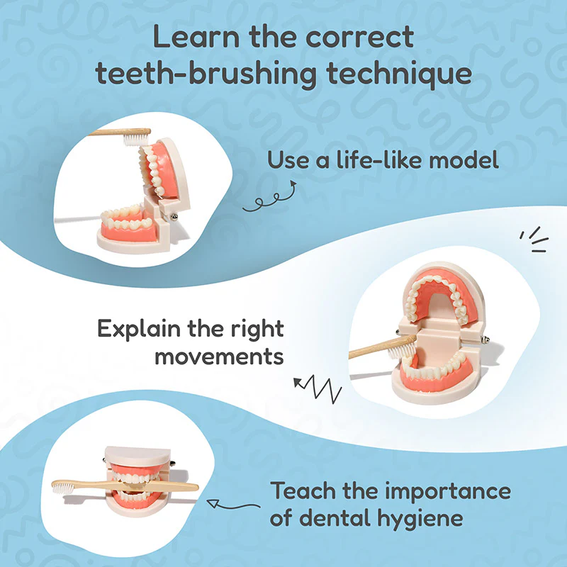 Montessori Brushing Teeth - Image 3
