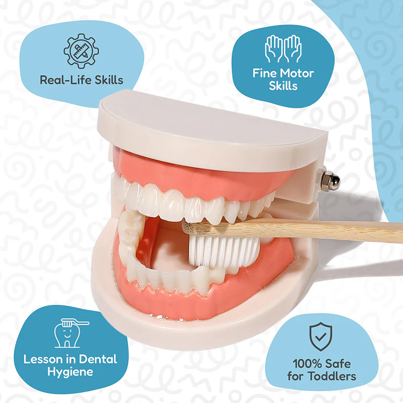 Montessori Brushing Teeth - Image 4