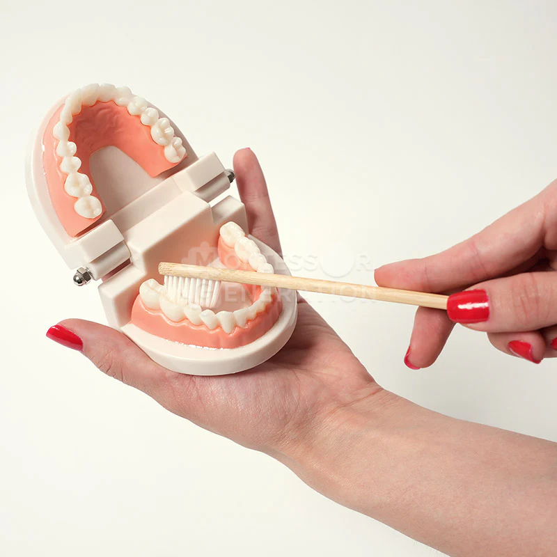 Montessori Brushing Teeth - Image 5