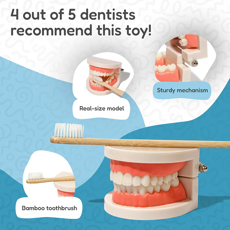 Montessori Brushing Teeth - Image 8