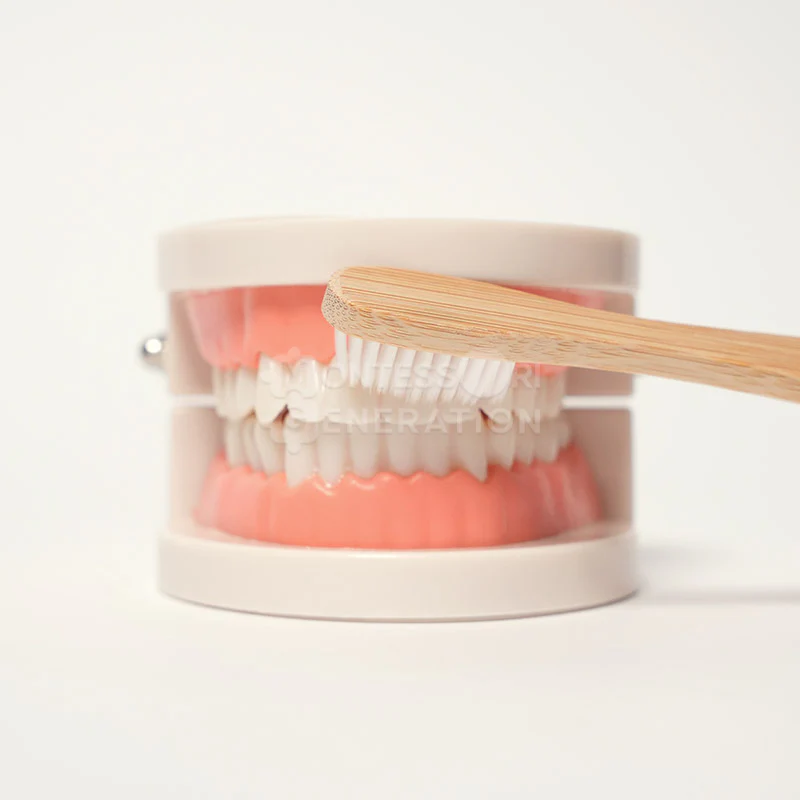 Montessori Brushing Teeth - Image 9