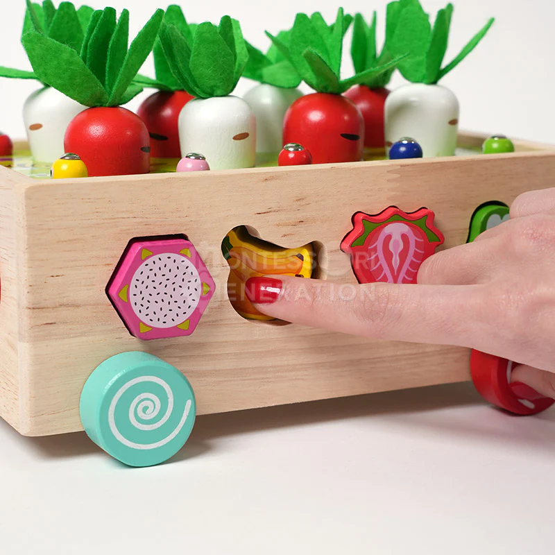 Montessori Carrot Wheels - Image 12