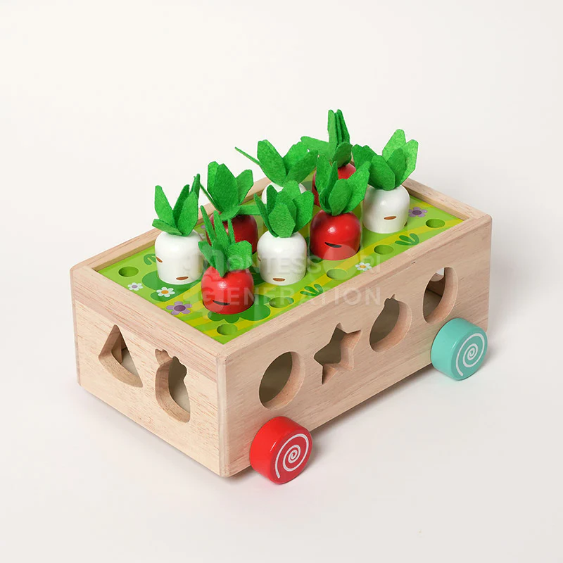 Montessori Carrot Wheels - Image 13