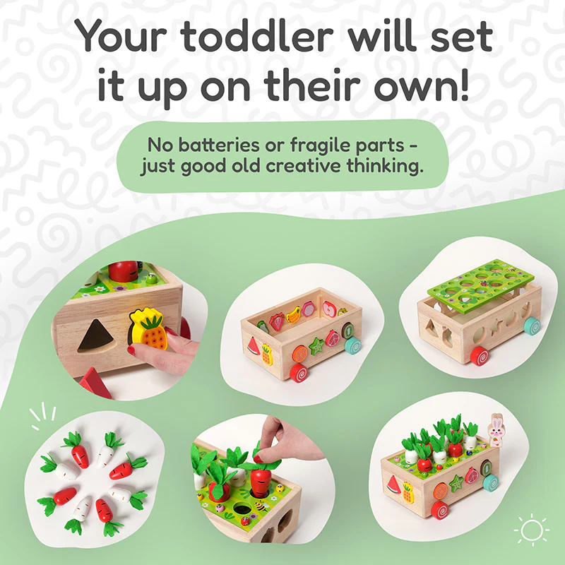 Montessori Carrot Wheels - Image 4