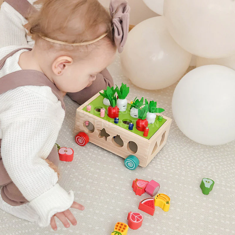 Montessori Carrot Wheels - Image 6