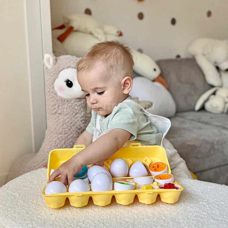 Montessori Geometric Eggs - Image 7