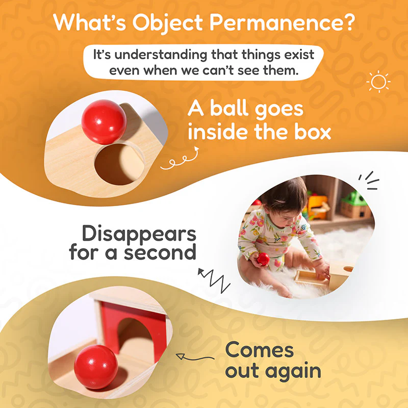 Montessori Object Permanence Box - Image 4