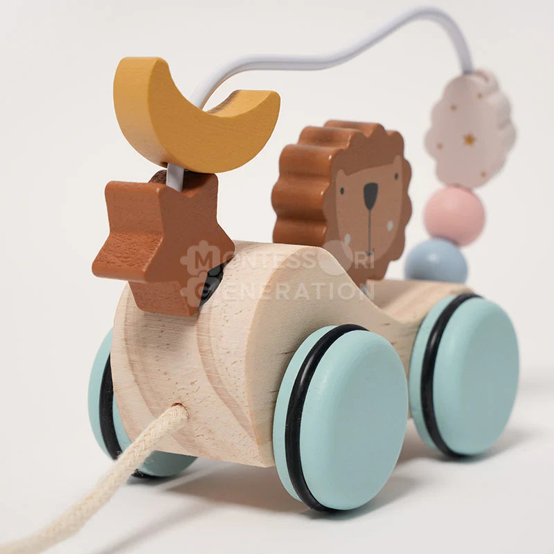 Montessori Roaring Roller - Image 5