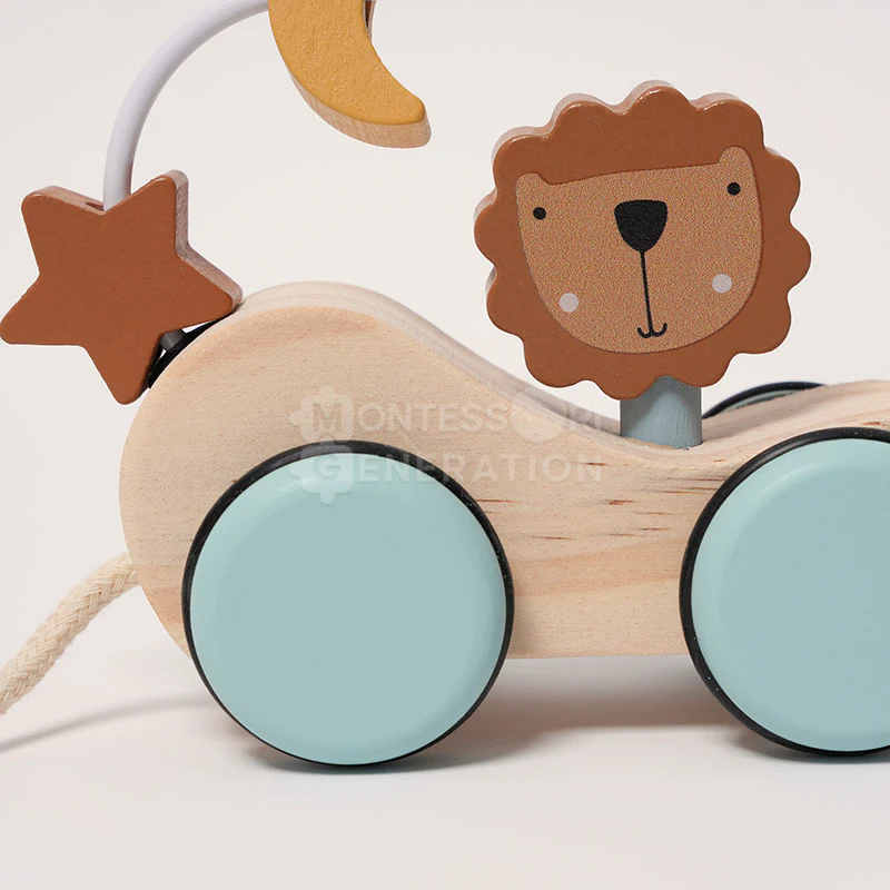 Montessori Roaring Roller - Image 7