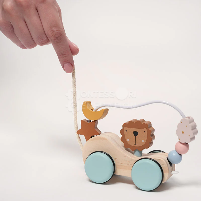 Montessori Roaring Roller - Image 8