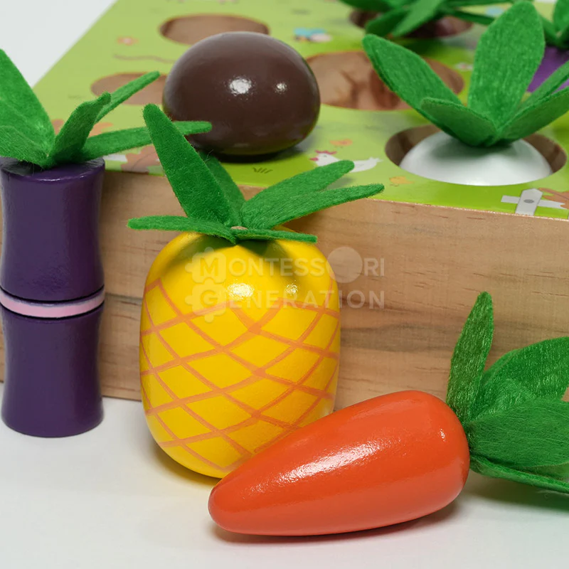 Montessori Vegetable Set - Image 5