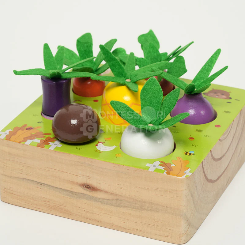 Montessori Vegetable Set - Image 8