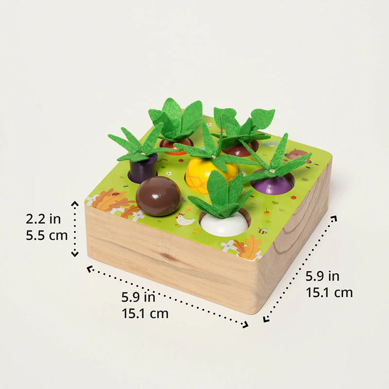 Montessori Vegetable Set - Image 9